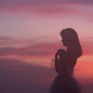 人与物videos另类
