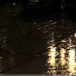 人与物videos另类
